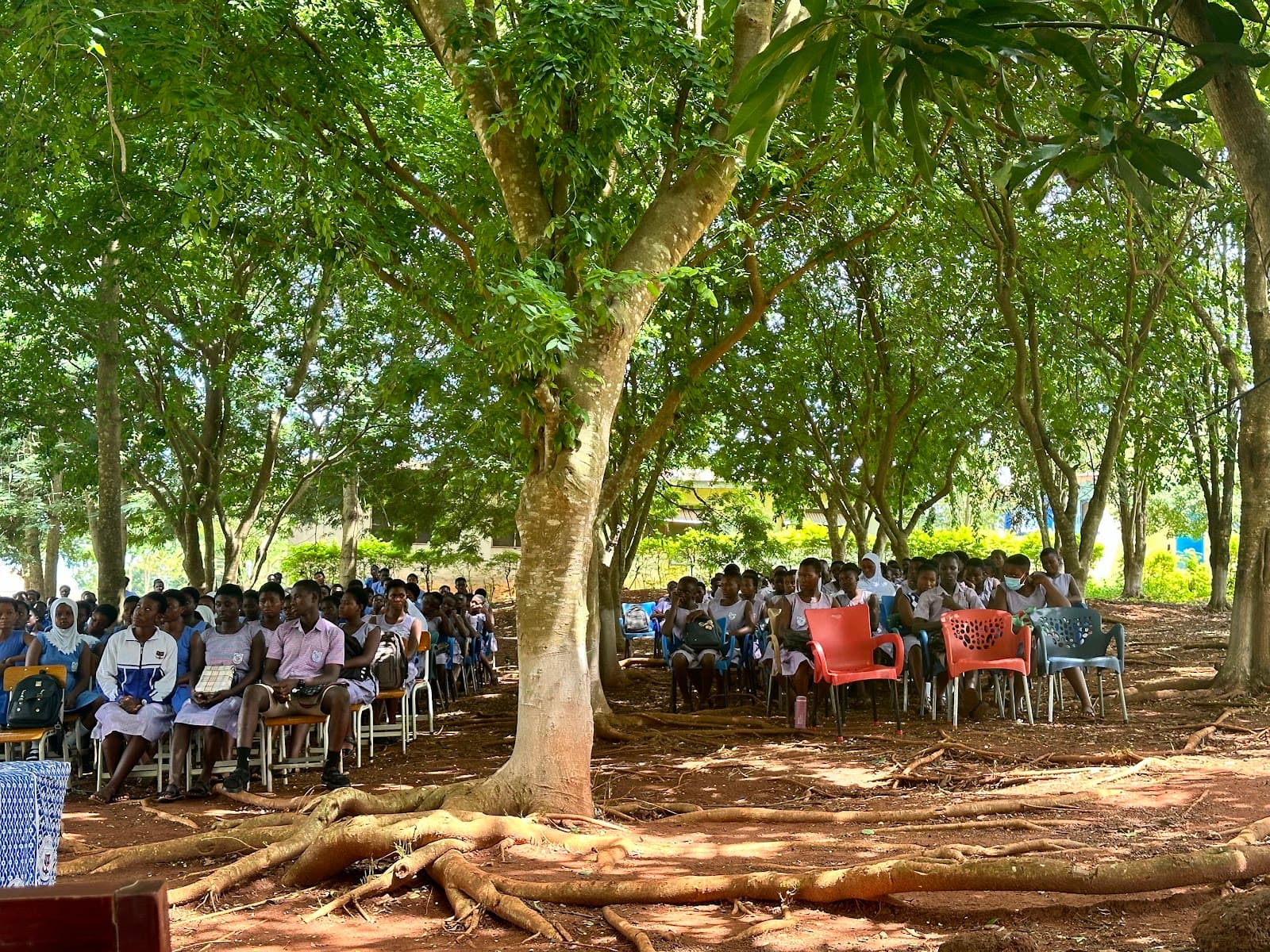 Visiting Jesus Campaigns — photo 37